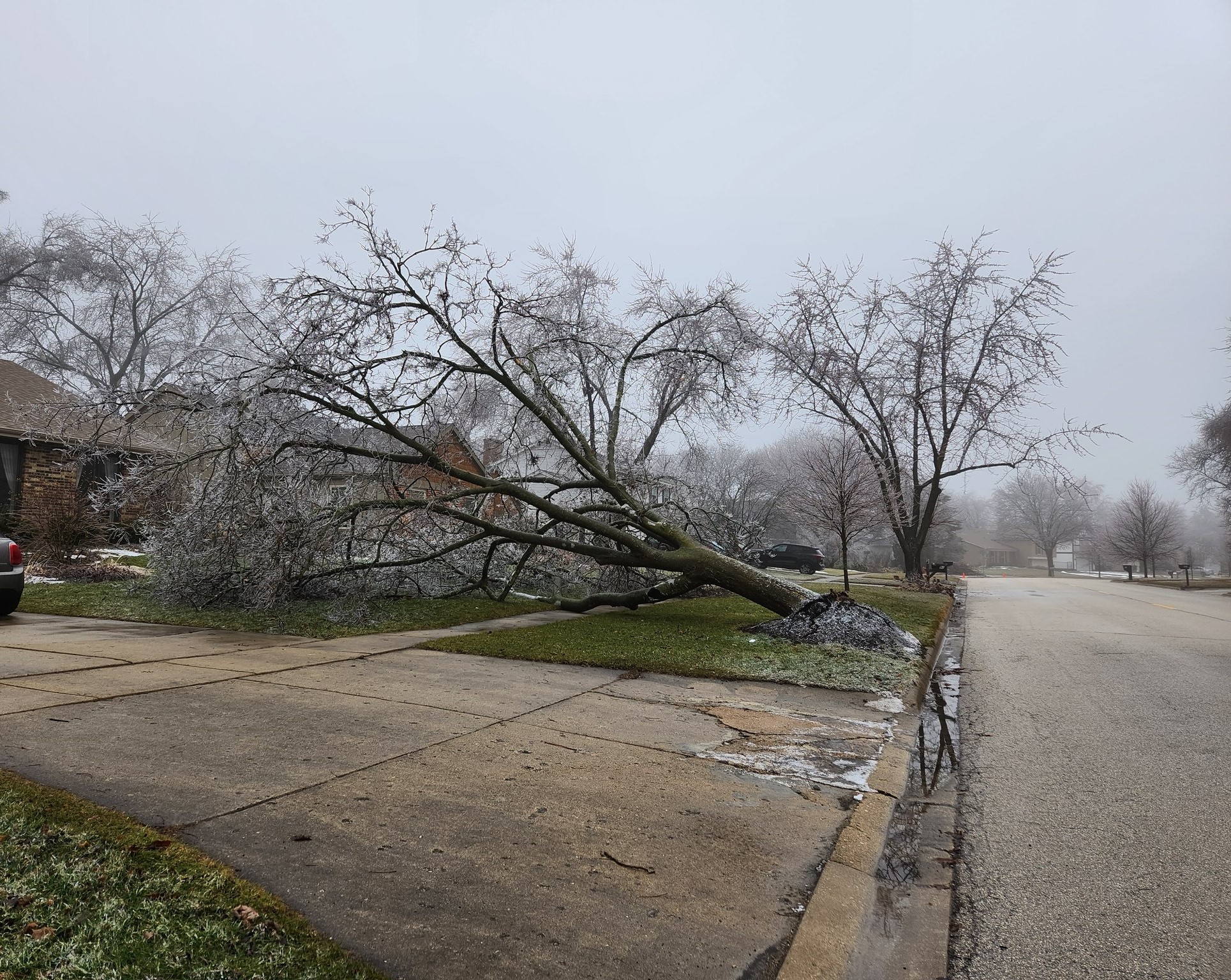 February 22-23, 2023: Ice Storm Across Portions of Northern Illinois 